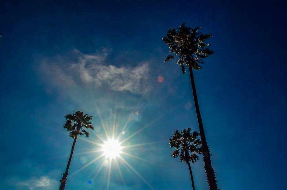 California ADU guidelines