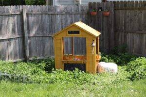 tiny home for backyard